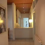 Apartment Wolf