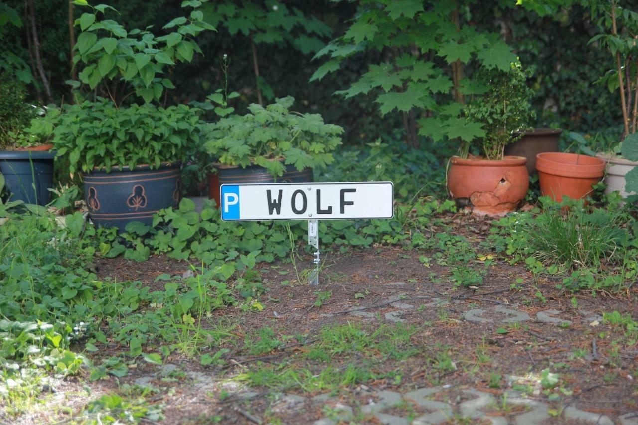 Wolf *